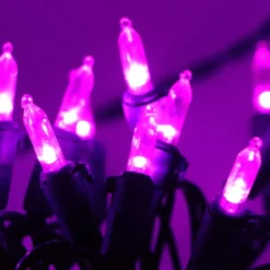 100 LED Purple Christmas String Lights