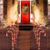 6pcs Warm White Christmas Candy Cane Pathway Markers 17in -Christmas Decoration Shop 17 Christmas Candy Cane Pathway Markers 1 result 600x600 2