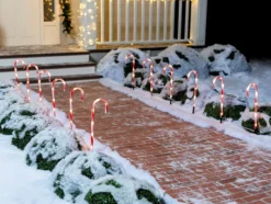 12pcs Red Light Up Candy Cane Pathway Markers 17in 12 12pcs Red Light Up Candy Cane Pathway Markers 17in -Christmas Decoration Shop 17 Christmas Candy Cane Pathway Markers Lights 12 Packs Thick Red 4 result 600x453 1