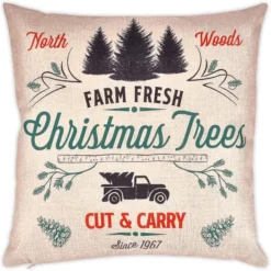 Christmas Buffalo Pillow Covers 18in -Christmas Decoration Shop 18 Christmas Buffalo Pillow Covers 5 result 600x599 1