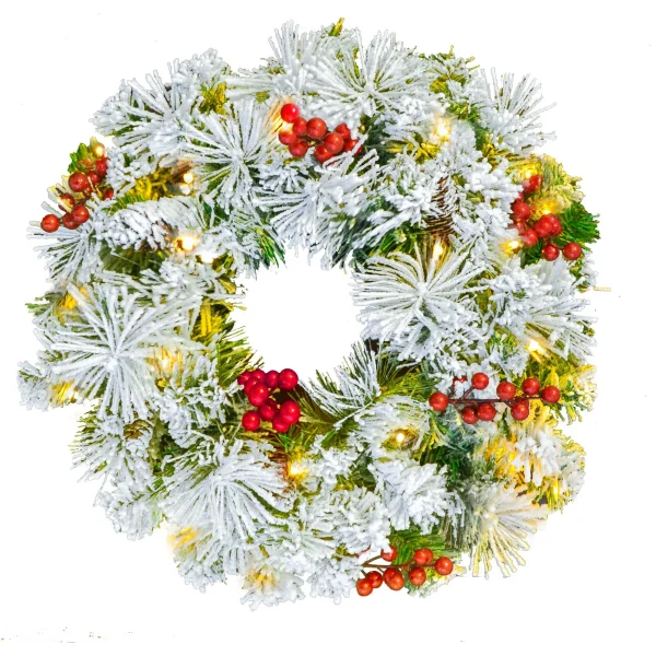 Christmas Wreath Flocked With LED Lights 20in 3 Christmas Wreath Flocked With LED Lights 20in