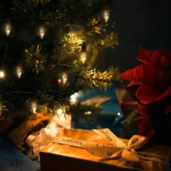 25pcs C7 Christmas Replacement Light Bulb 13 25pcs C7 Christmas Replacement Light Bulb -Christmas Decoration Shop 25 Pcs C7 Incandescent Bulb 7 result 600x600 1