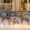 3Pcs Rattan Christmas Reindeer Buck, Doe, And Fawn Yard Lights -Christmas Decoration Shop 3Pcs Rattan Christmas Reindeer Buck Doe and Fawn Yard Lights 2 1 600x600 1