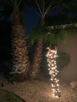 4x100 Clear Christmas Lights With Green Wire