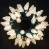 50 Warm White LED C9 Green Wire String Lights -Christmas Decoration Shop 50 Warm White LED C9 Green Wire String Lights 5 600x600 1