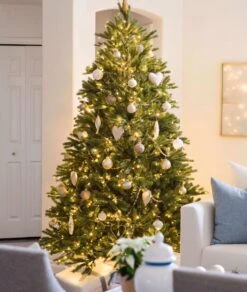 King Of Christmas 10' King Fraser Fir Quick-Shape Artificial Christmas Tree With 1600 Warm White & Multi-Color LED Lights -Christmas Decoration Shop King Fraser Fir Artificial Christmas Tree3