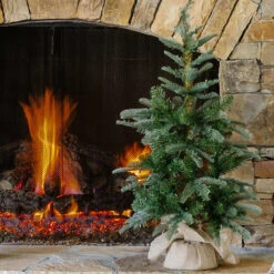 King Of Christmas 3' King Noble Fir Tabletop Tree With 70 Warm White LED Lights