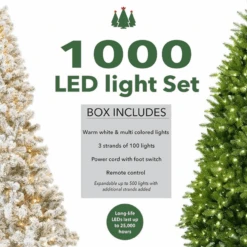 King Of Christmas 1000 Warm White & Multi-Color LED String Light Set