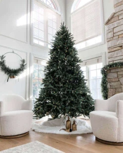 King Of Christmas 10' King Fraser Fir Quick-Shape Artificial Christmas Tree With 1600 Warm White & Multi-Color LED Lights -Christmas Decoration Shop king fraser fir king of christmas 19d096ca b9d2 4f62 9dbb d9f5bfa2b66e